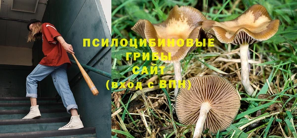 бутират Новокубанск