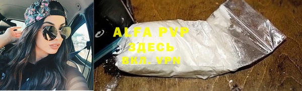 гашик Новозыбков