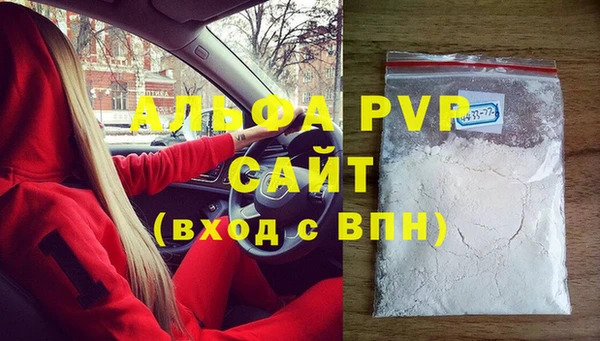 ешки Новодвинск