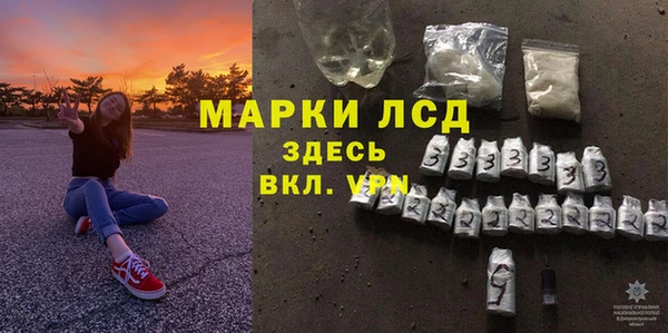 гашик Новозыбков