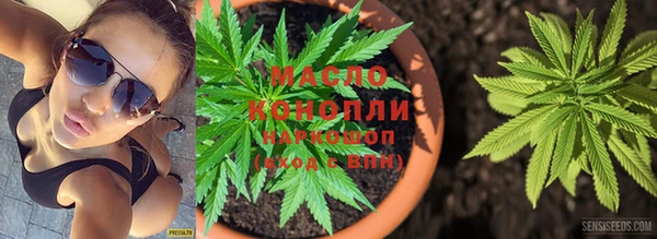 гашик Новозыбков