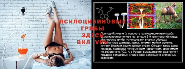 ешки Новодвинск
