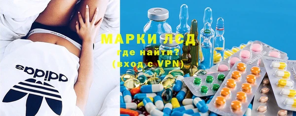 ешки Новодвинск