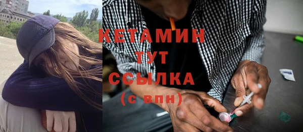 гашик Новозыбков