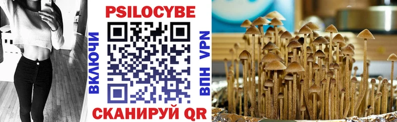 Псилоцибиновые грибы Magic Shrooms  Купить  Сунжа 